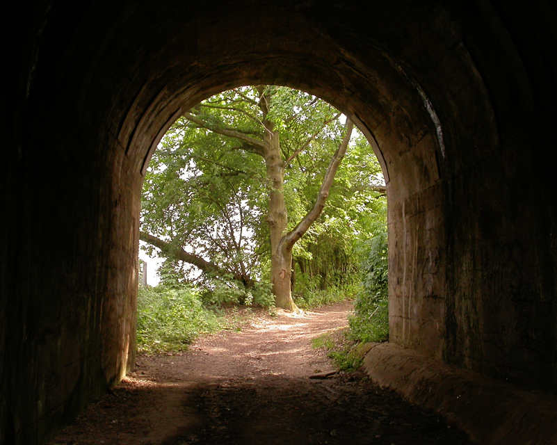 Echoey railway bridge, Suffolk