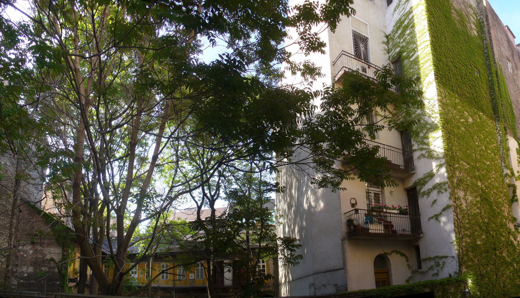 A blackbird sings boldly, Hotel Anna, Budapest