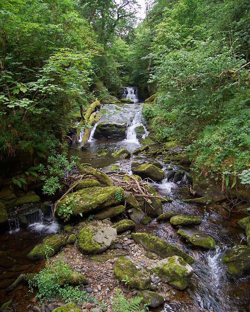 Watersmeet